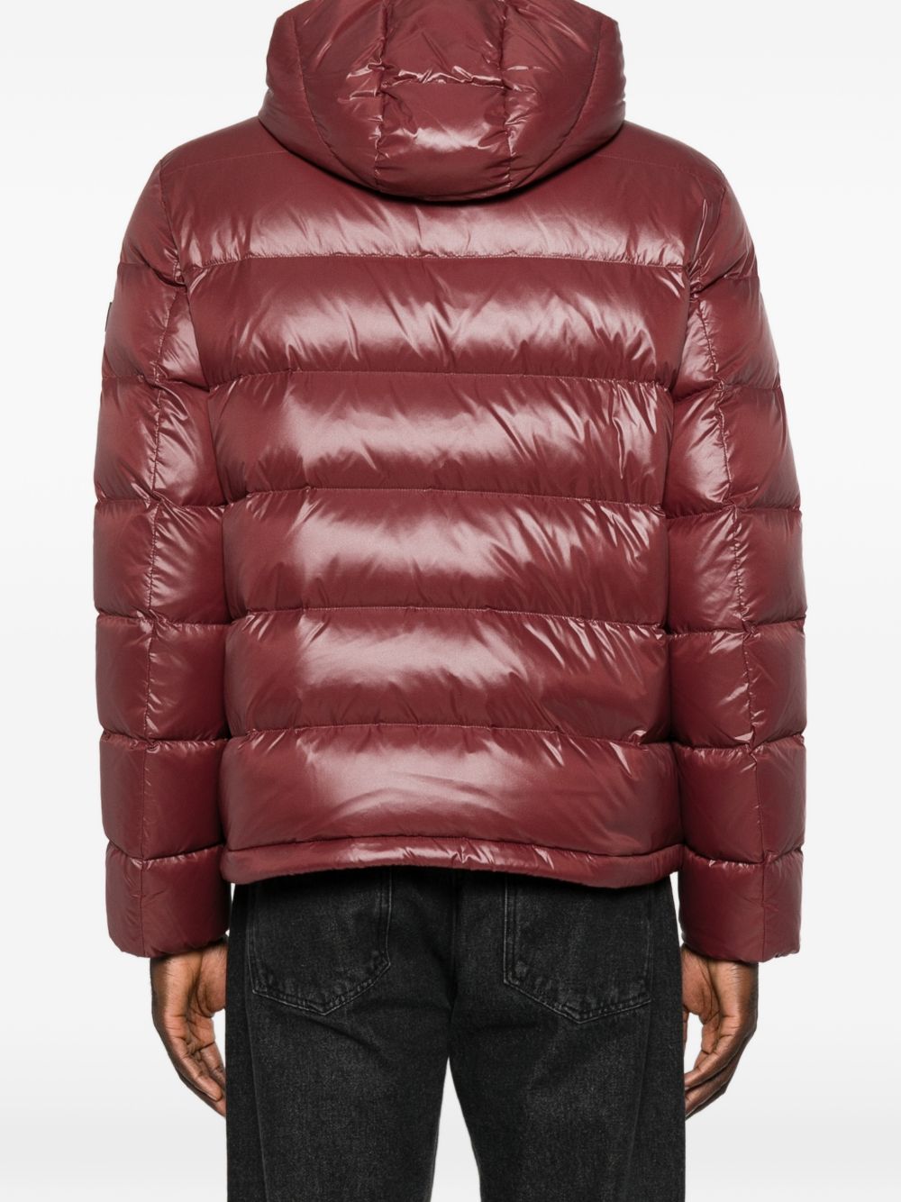 Peuterey PEU5981 giubbotto burgundy uomo