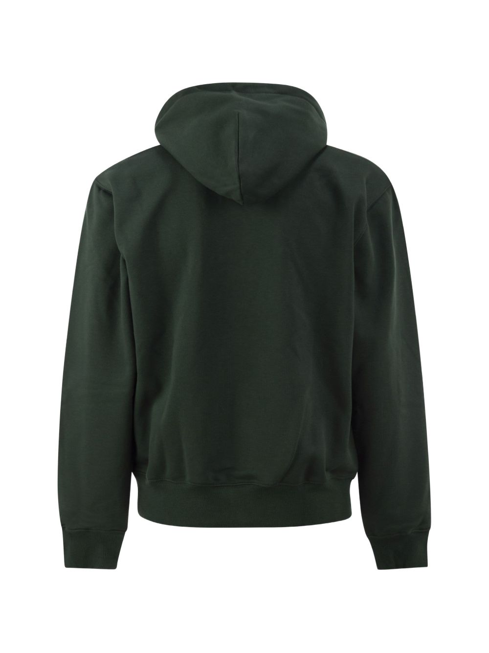 Carhartt I030547 felpa dark scarab palisander