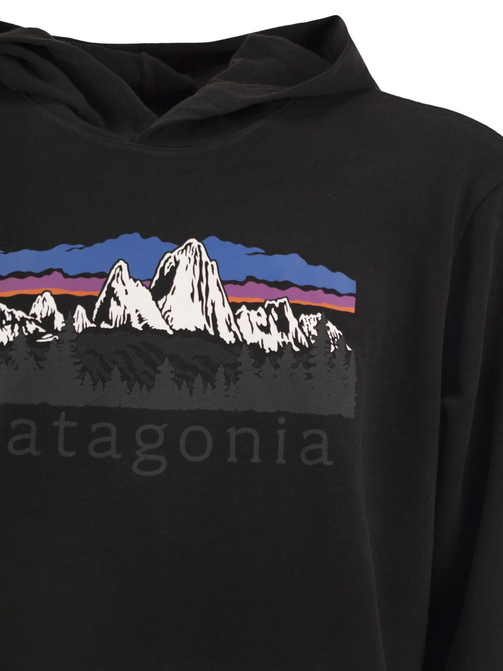 Patagonia 39735 felpa nera da uomo