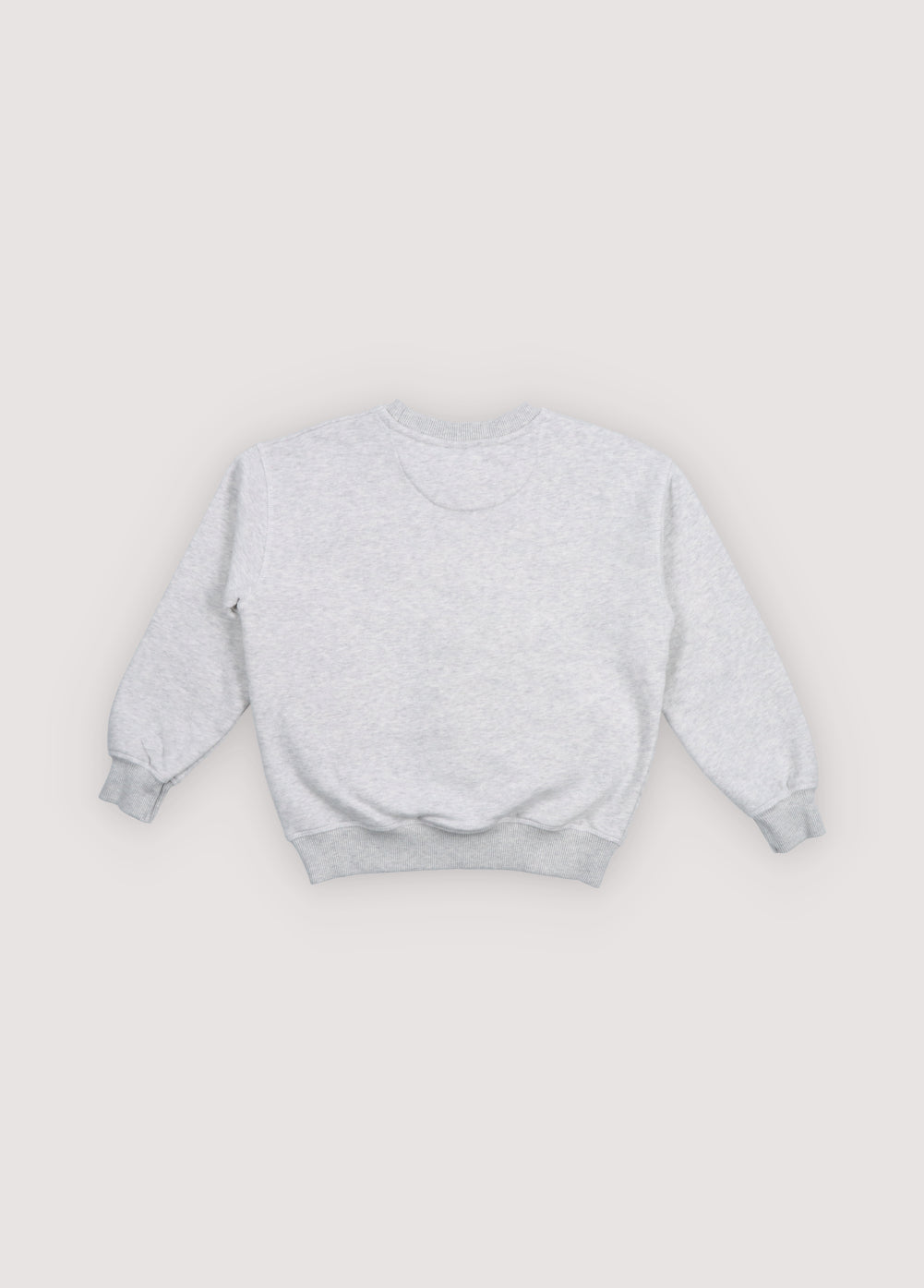 The New Society TNS Logo felpa teen cotone grigio 6y